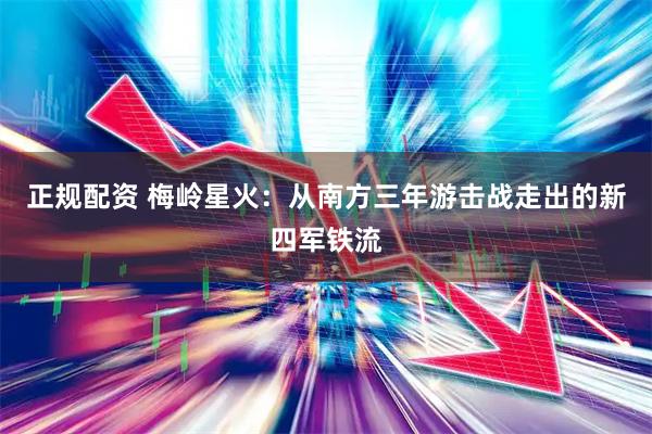 正规配资 梅岭星火：从南方三年游击战走出的新四军铁流