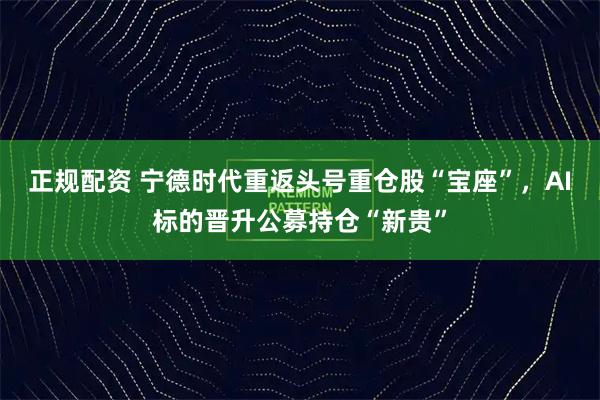 正规配资 宁德时代重返头号重仓股“宝座”，AI标的晋升公募持仓“新贵”