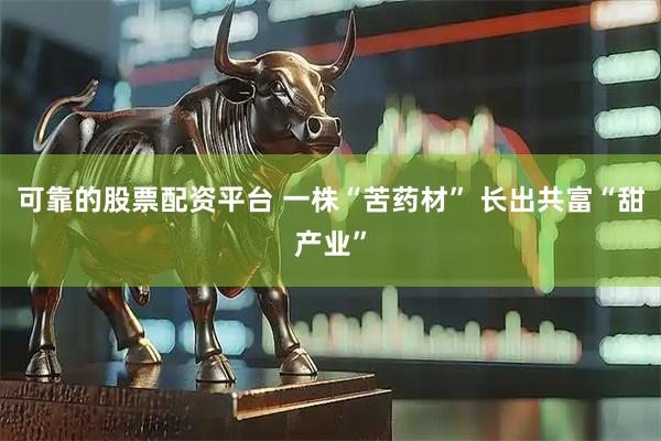 可靠的股票配资平台 一株“苦药材” 长出共富“甜产业”