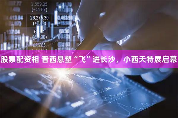 股票配资相 晋西悬塑“飞”进长沙，小西天特展启幕