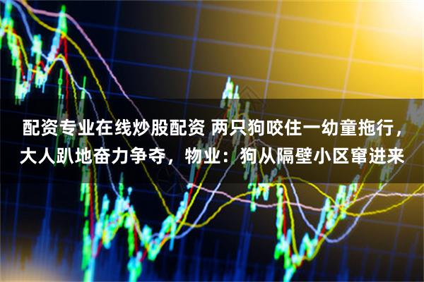 配资专业在线炒股配资 两只狗咬住一幼童拖行,大人趴地奋力争夺,物业:狗从隔壁小区窜进来